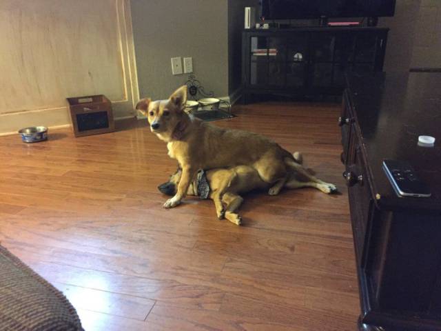 daily picdump 97 pics 48.html - 97 HD Photos | Premium Gallery 2016