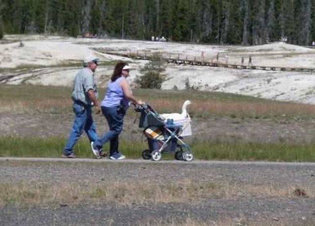 daily picdump 97 pics 48.html - 97 HD Photos | Premium Gallery 2016