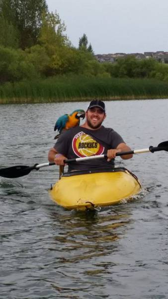 morning picdump 50 pics 22.html - 50 HD Photos | Premium Gallery 2016