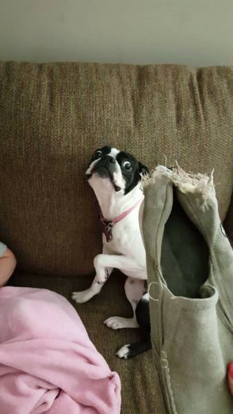 morning picdump 50 pics 22.html - 50 HD Photos | Premium Gallery 2016