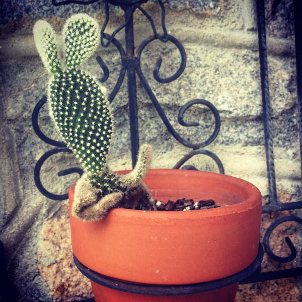 morning picdump 50 pics 22.html - 50 HD Photos | Premium Gallery 2016