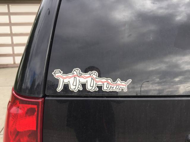 morning picdump 50 pics 22.html - 50 HD Photos | Premium Gallery 2016