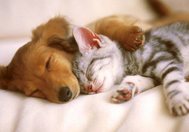 morning picdump 50 pics 22.html - 50 HD Photos | Premium Gallery 2016