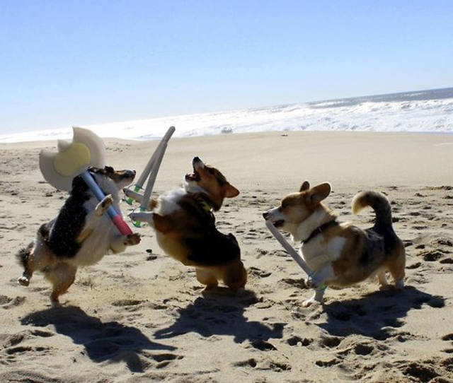 morning picdump 50 pics 22.html - 50 HD Photos | Premium Gallery 2016