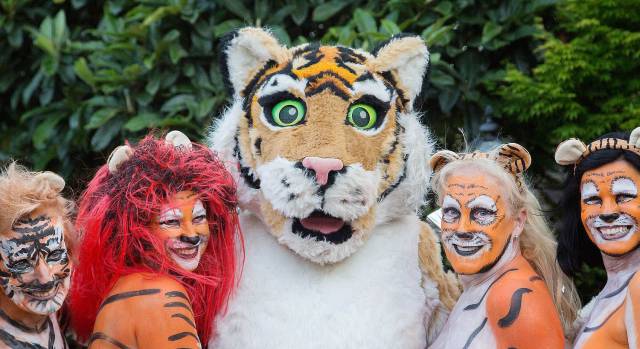 Daily Picdump [WEEKEND EDITION]