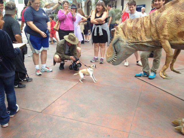 Daily Picdump [WEEKEND EDITION]