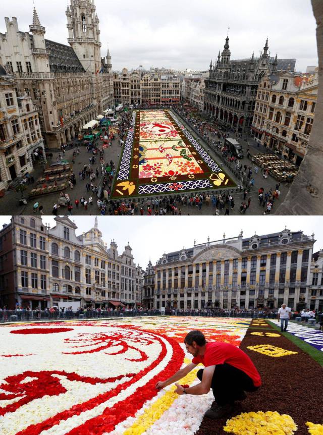 daily picdump weekend edition 67 pics 6.html - 67 HD Photos | Premium Gallery 2016