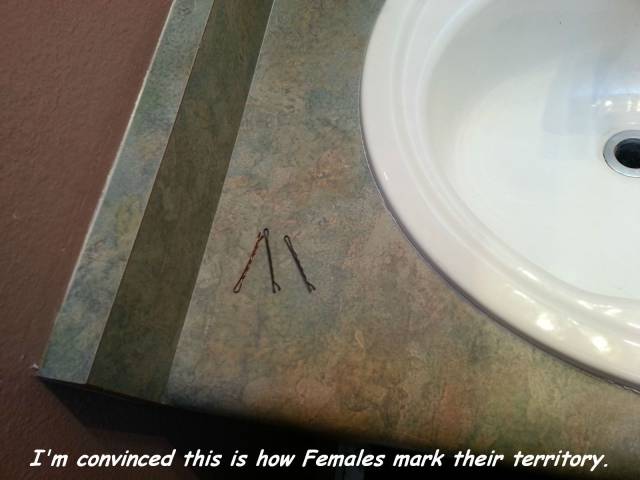 daily picdump 96 pics 41.html - 96 HD Photos | Premium Gallery 2016