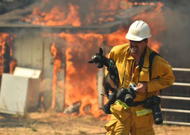 daily picdump 96 pics 41.html - 96 HD Photos | Premium Gallery 2016