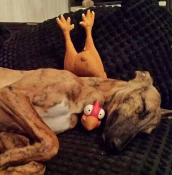 daily picdump 96 pics 41.html - 96 HD Photos | Premium Gallery 2016