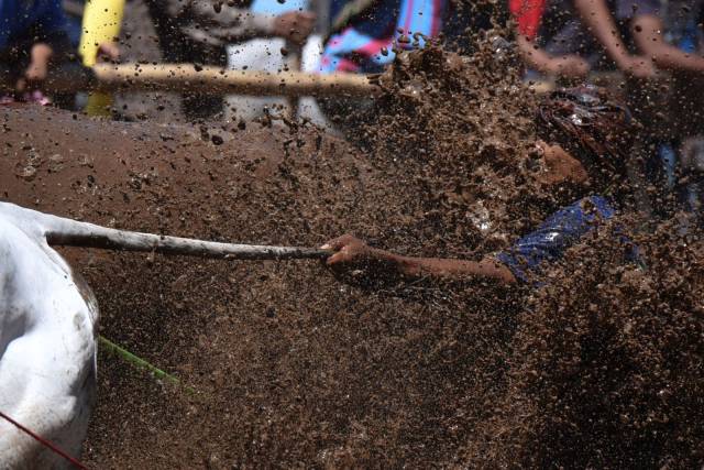 daily picdump 96 pics 41.html - 96 HD Photos | Premium Gallery 2016