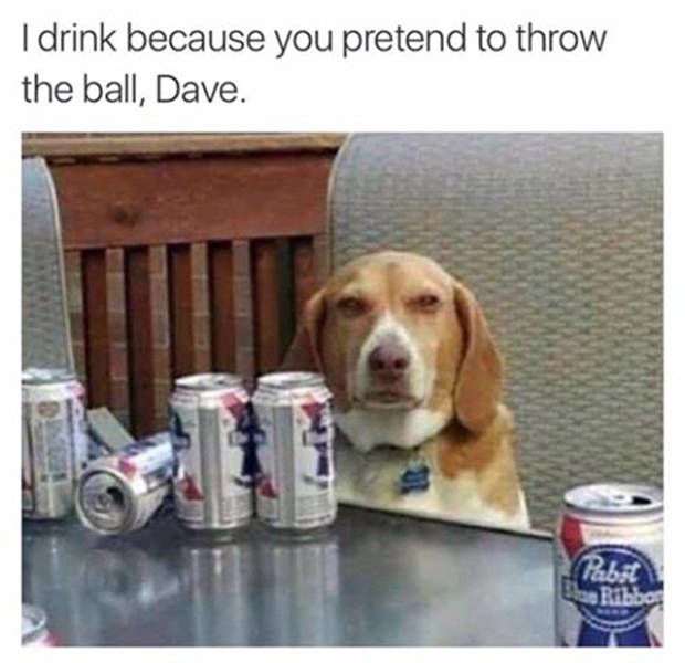 Memes to Amuse Your Tired Mind