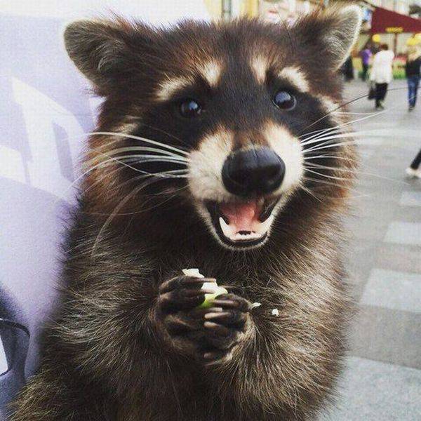 daily picdump 97 pics 7.html - 97 HD Photos | Premium Gallery 2016