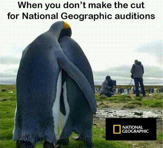 daily picdump 97 pics 7.html - 97 HD Photos | Premium Gallery 2016