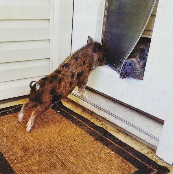 daily picdump 97 pics 7.html - 97 HD Photos | Premium Gallery 2016