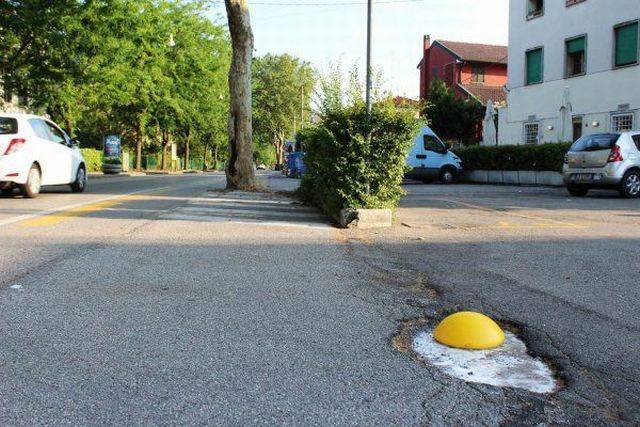 daily picdump 97 pics 7.html - 97 HD Photos | Premium Gallery 2016