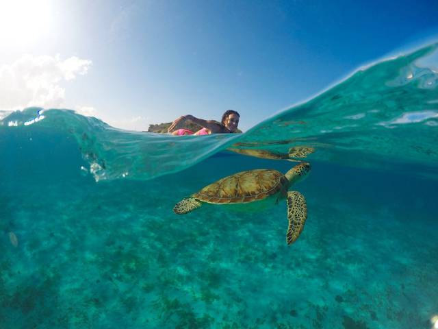 daily picdump 97 pics 7.html - 97 HD Photos | Premium Gallery 2016