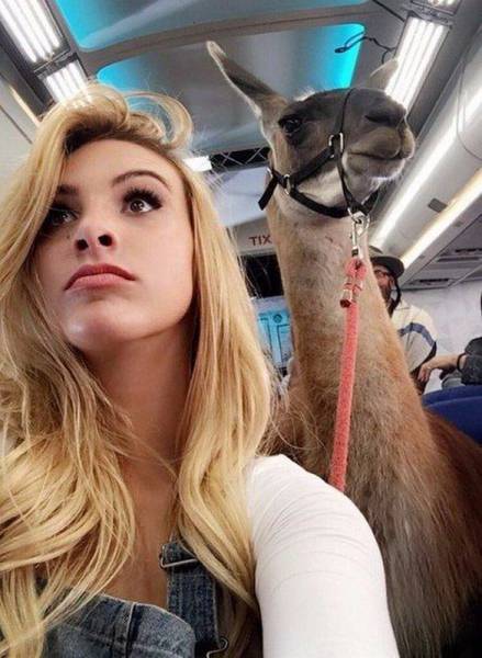 daily picdump 94 pics 6.html - 94 HD Photos | Premium Gallery 2016