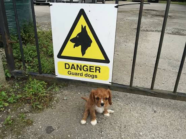 morning picdump 51 pics 8.html - 51 HD Photos | Premium Gallery 2016