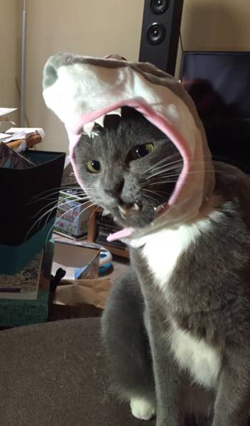 morning picdump 51 pics 8.html - 51 HD Photos | Premium Gallery 2016