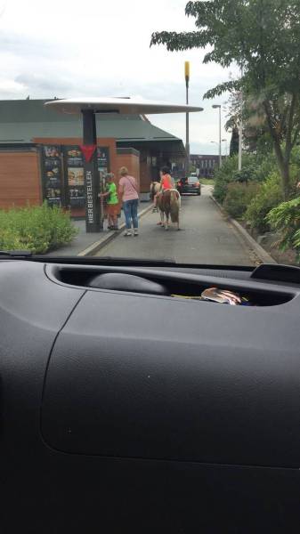 daily picdump 100 pics 24.html - 100 HD Photos | Premium Gallery 2016