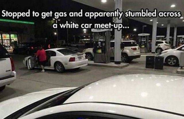 daily picdump 100 pics 24.html - 100 HD Photos | Premium Gallery 2016