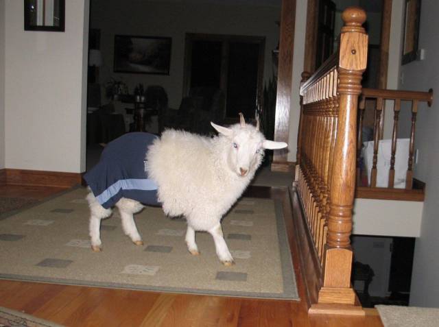 daily picdump 100 pics 24.html - 100 HD Photos | Premium Gallery 2016