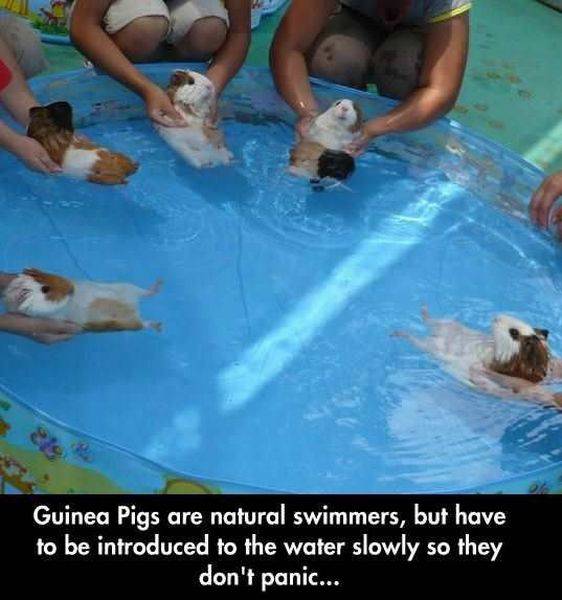 daily picdump 100 pics 24.html - 100 HD Photos | Premium Gallery 2016