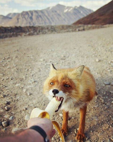 daily picdump 100 pics 24.html - 100 HD Photos | Premium Gallery 2016