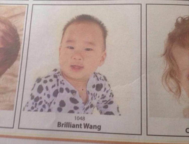 funny picdump 51 pics 10.html - 51 HD Photos | Premium Gallery 2016