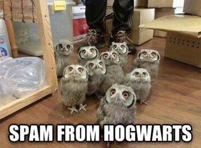 funny picdump 51 pics 10.html - 51 HD Photos | Premium Gallery 2016