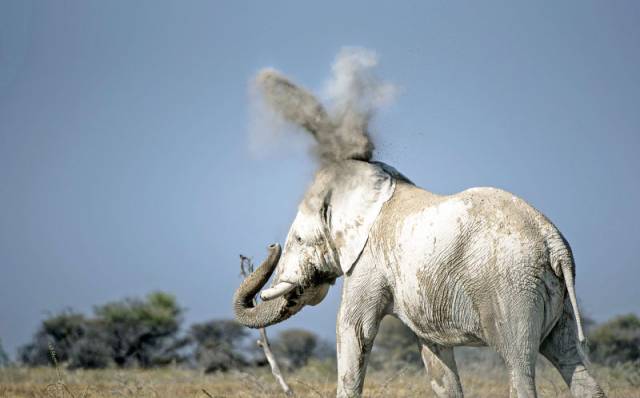 morning picdump 52 pics 2.html - 52 HD Photos | Premium Gallery 2016