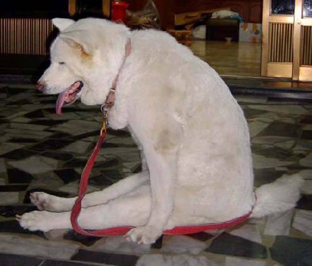 morning picdump 52 pics 2.html - 52 HD Photos | Premium Gallery 2016