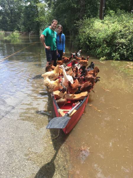 morning picdump 52 pics 2.html - 52 HD Photos | Premium Gallery 2016