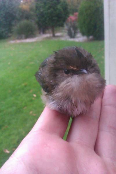 morning picdump 52 pics 2.html - 52 HD Photos | Premium Gallery 2016