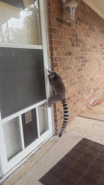 morning picdump 52 pics 2.html - 52 HD Photos | Premium Gallery 2016