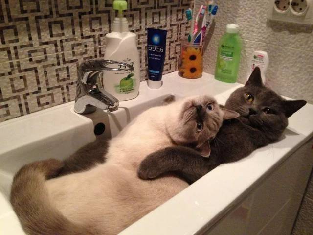 morning picdump 52 pics 2.html - 52 HD Photos | Premium Gallery 2016