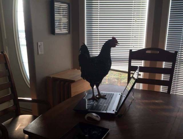 morning picdump 52 pics 2.html - 52 HD Photos | Premium Gallery 2016