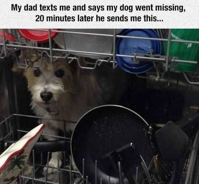 daily picdump 96 pics 28.html - 96 HD Photos | Premium Gallery 2016