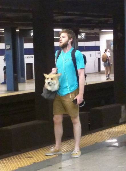 daily picdump 96 pics 28.html - 96 HD Photos | Premium Gallery 2016