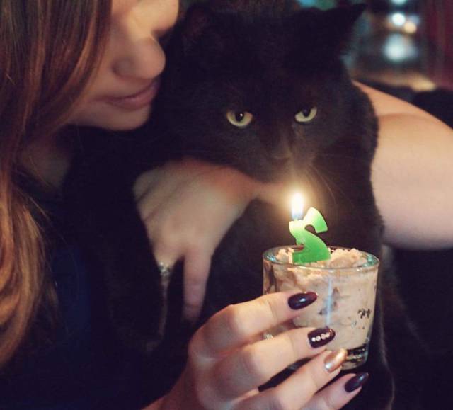 daily picdump 96 pics 28.html - 96 HD Photos | Premium Gallery 2016