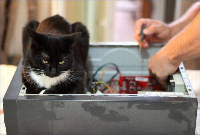 daily picdump 96 pics 28.html - 96 HD Photos | Premium Gallery 2016