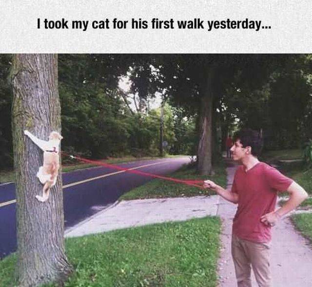 daily picdump 96 pics 28.html - 96 HD Photos | Premium Gallery 2016