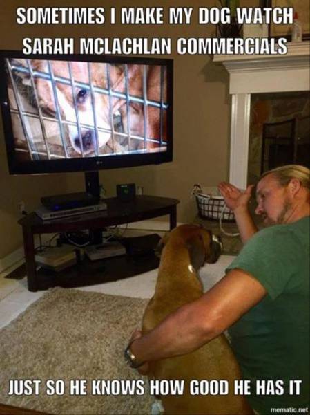 daily picdump 96 pics 28.html - 96 HD Photos | Premium Gallery 2016