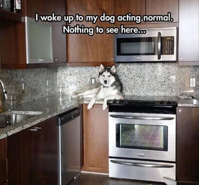 daily picdump 96 pics 28.html - 96 HD Photos | Premium Gallery 2016