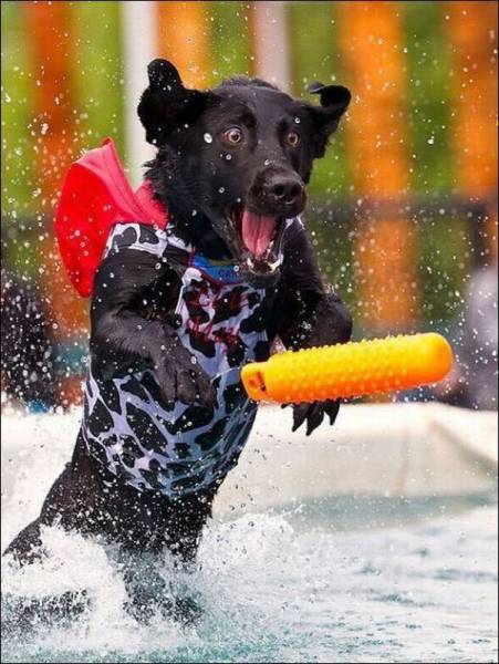 daily picdump 96 pics 28.html - 96 HD Photos | Premium Gallery 2016