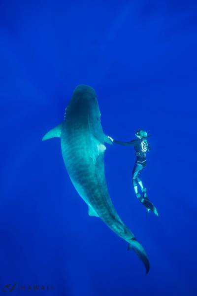 morning picdump 53 pics 2.html - 53 HD Photos | Premium Gallery 2016