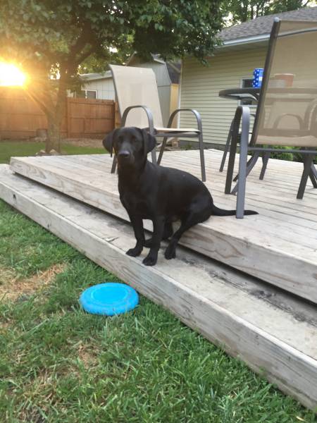 morning picdump 53 pics 2.html - 53 HD Photos | Premium Gallery 2016