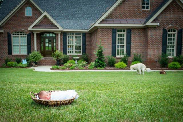 Daily Picdump [WEEKEND EDITION]