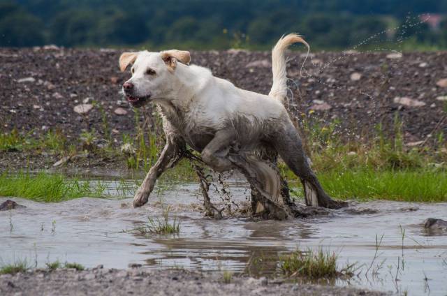 Daily Picdump [WEEKEND EDITION]